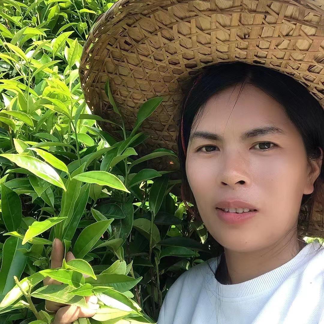 惜姐单枞茶