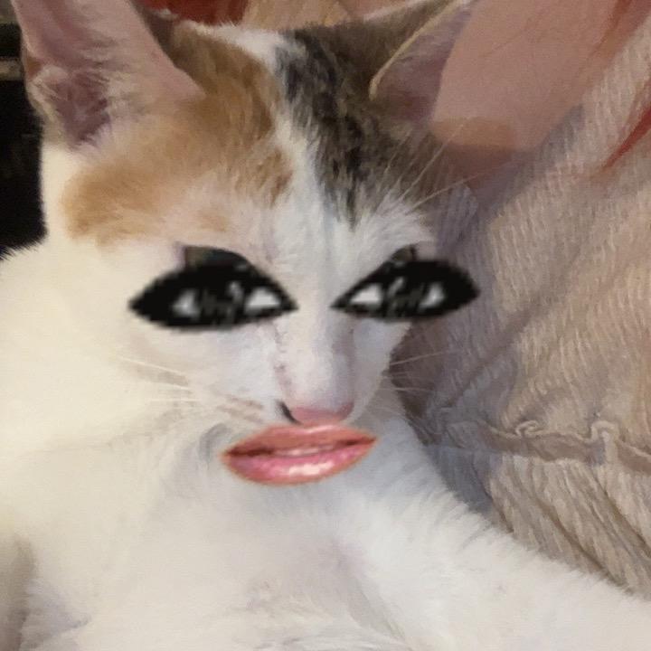 李西八.