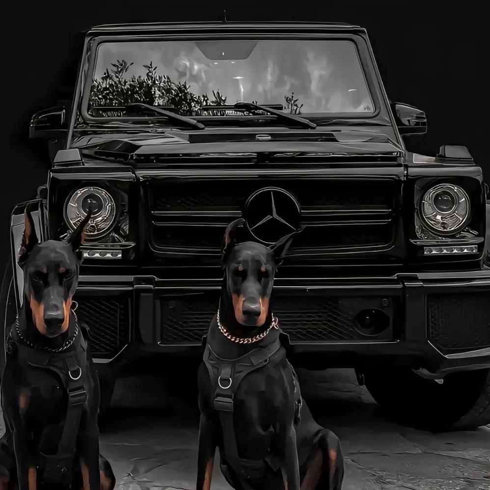 绿春蛮悌直播11号