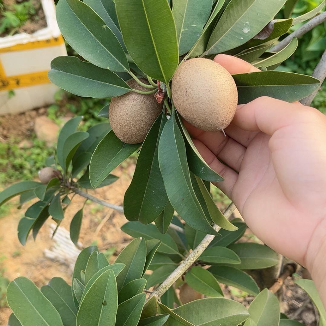 ，守心自暖，