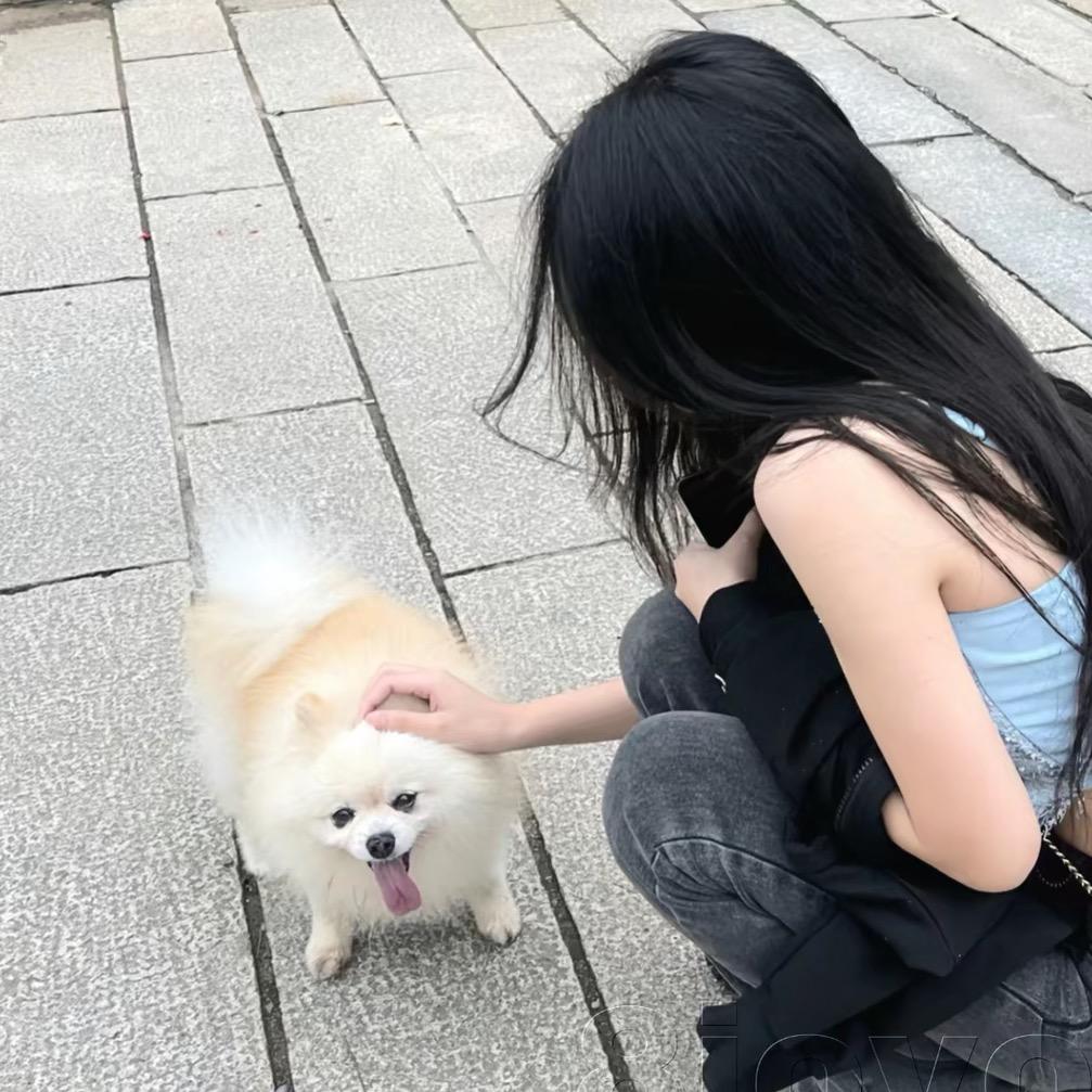 又是一年冬.