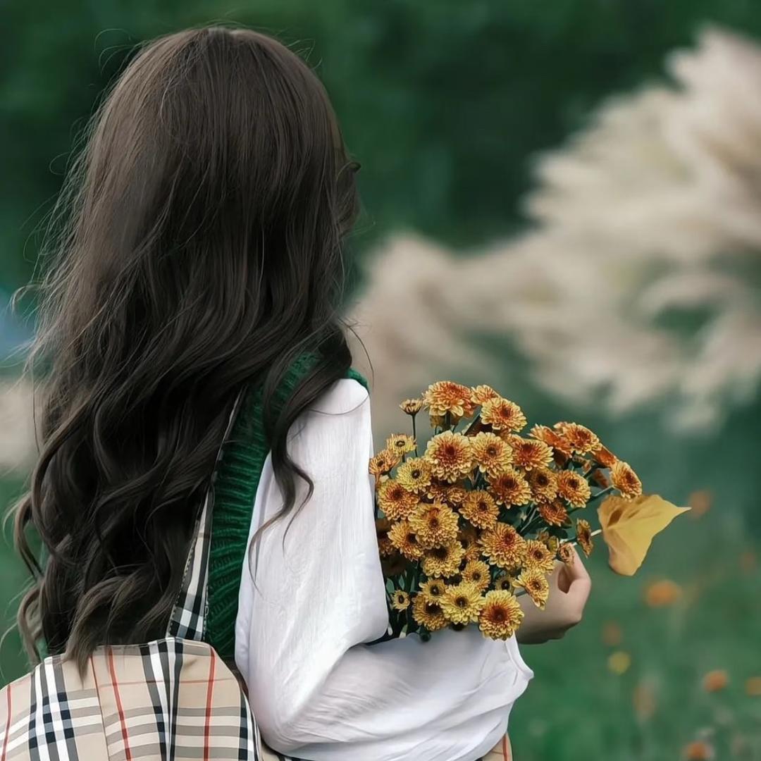 小羊西西