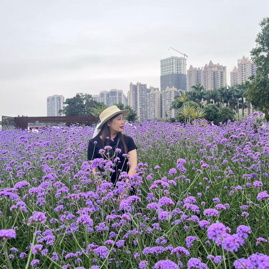 এ᭄༊🥀丽ღꦿ࿐