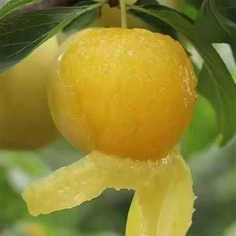 ໑ຼ₀₂5💕清零、