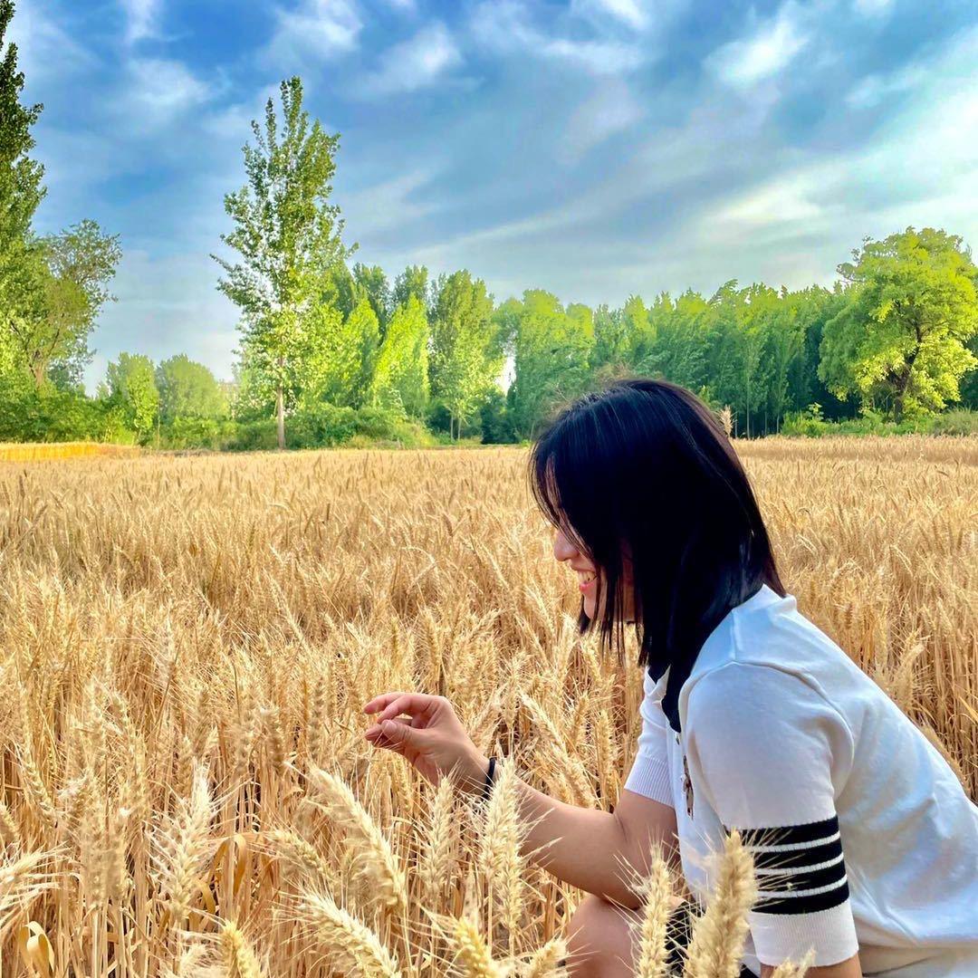 岗井小马专业吊顶