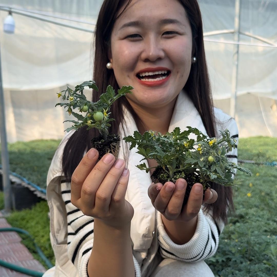 寿光佳禾淼种苗