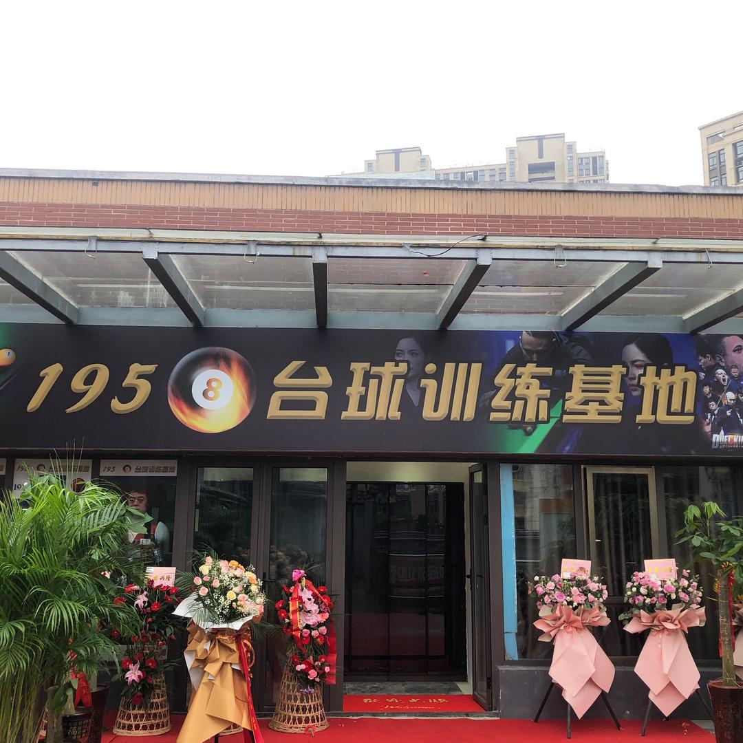 安庆市华茂1958台球训练基地