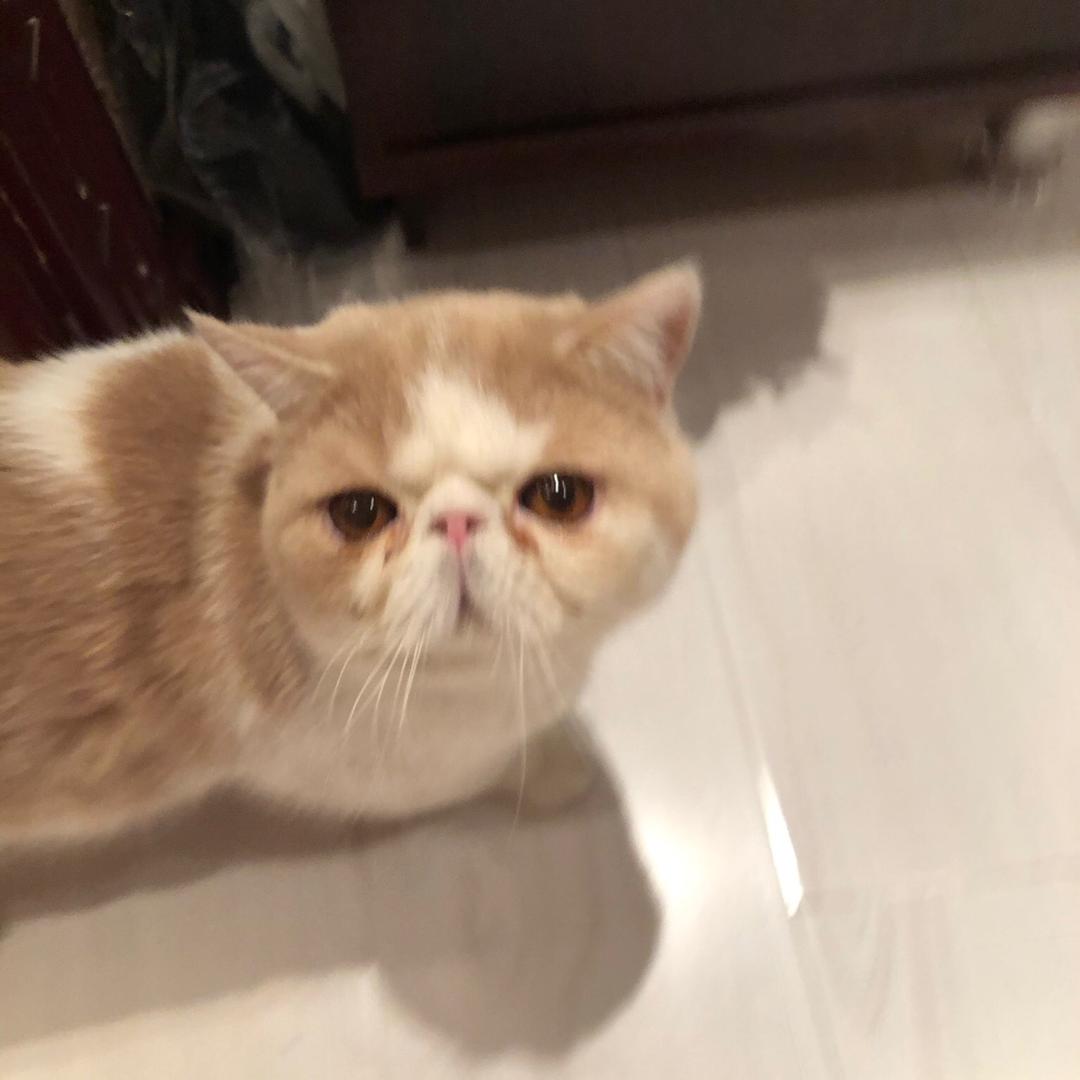 我的暑假以落幕