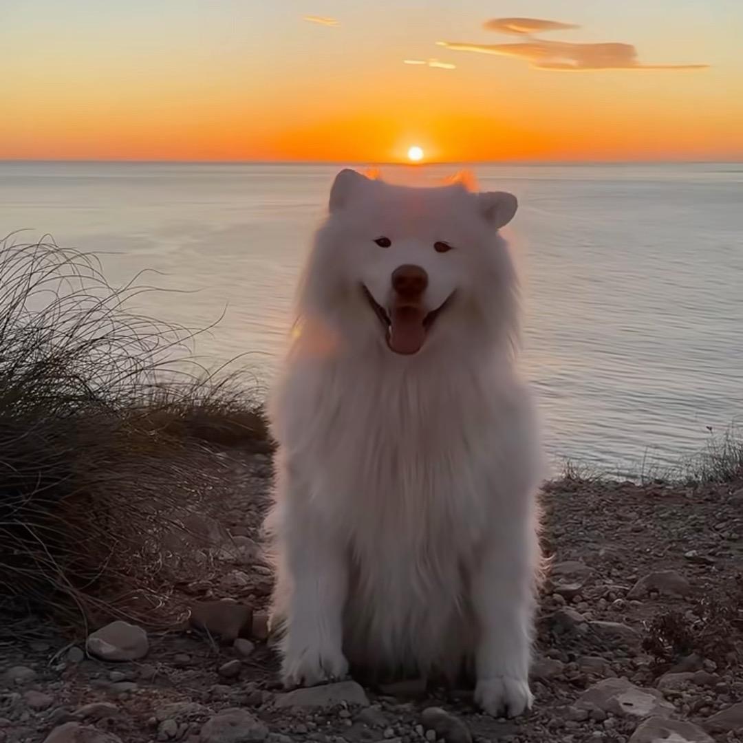 十七（半剑-解压版）