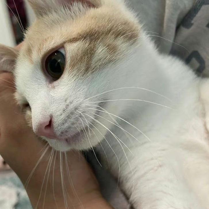 7漫