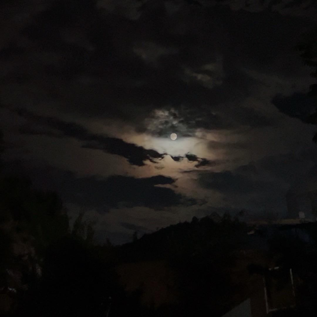 蛋仔仔