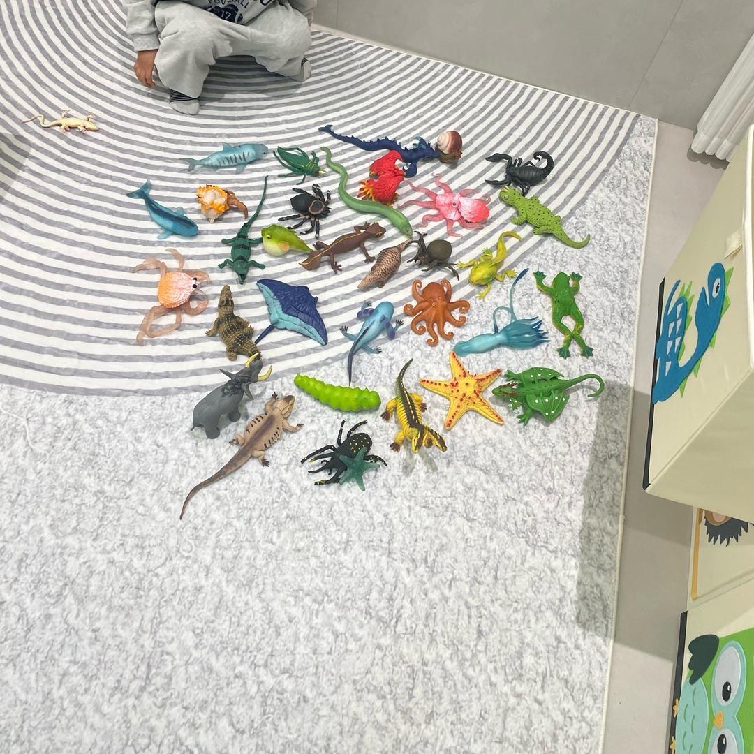 奇异世界玩具店