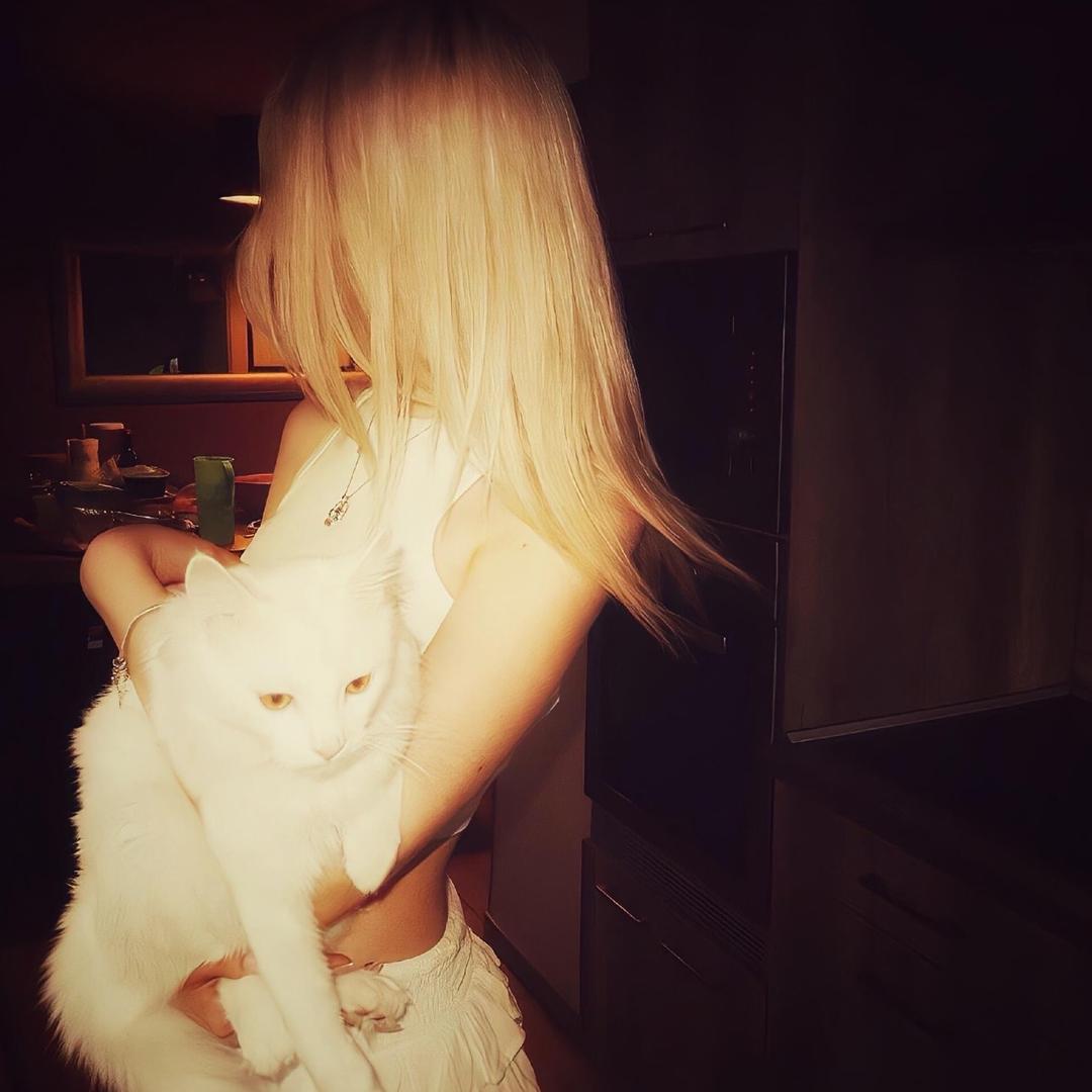 画画在画画 画还是不画