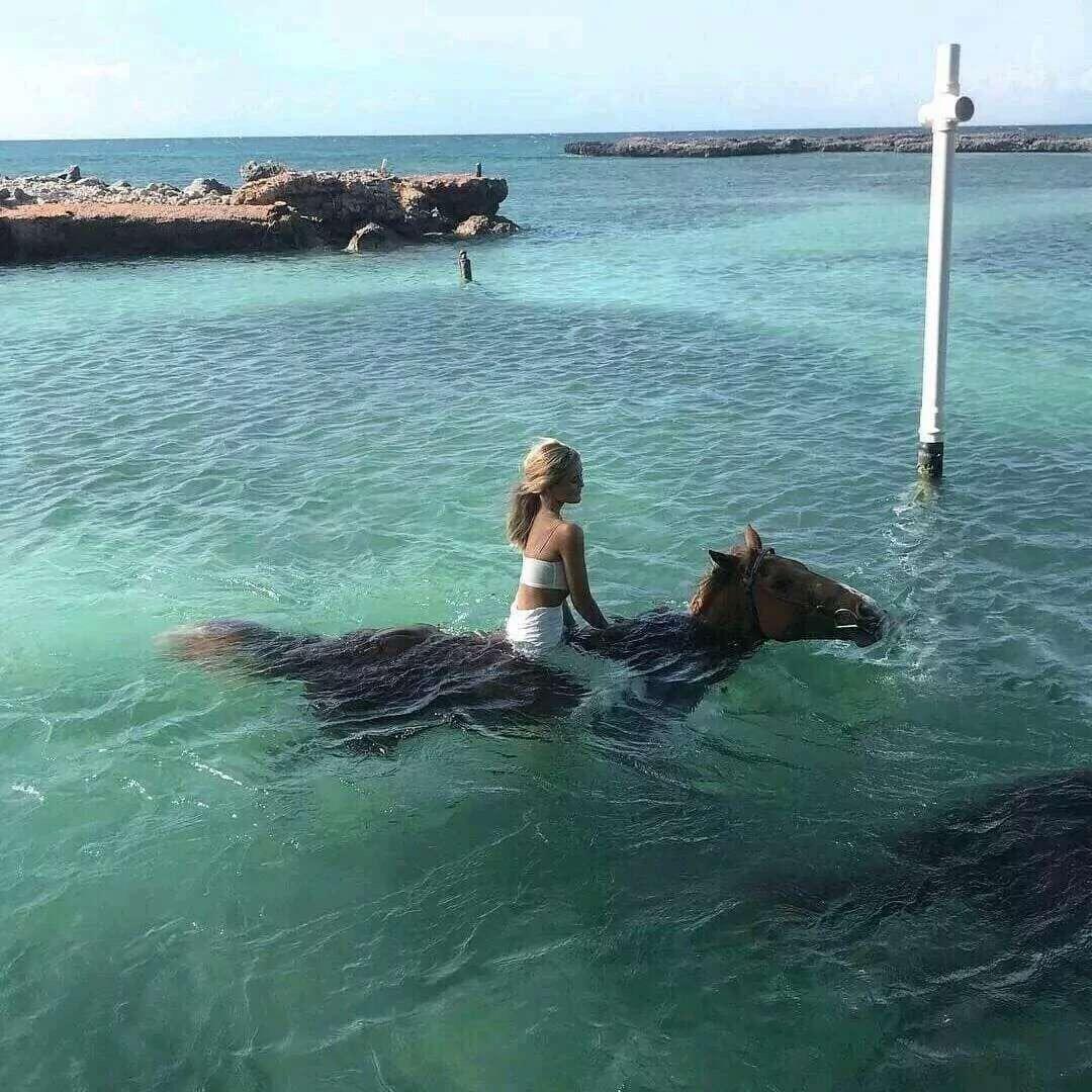 掉线的bb机、