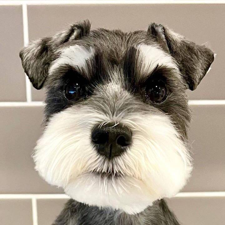 它护味贝贝飞专卖店