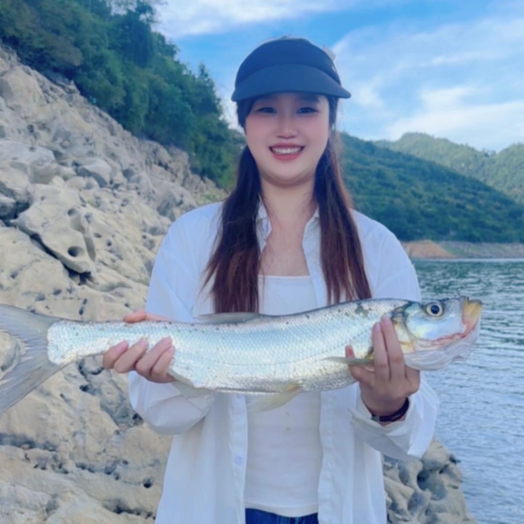 好多鱼🎣