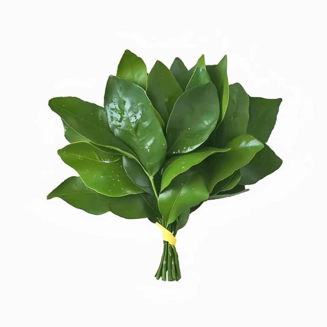 睡觉的时候不困