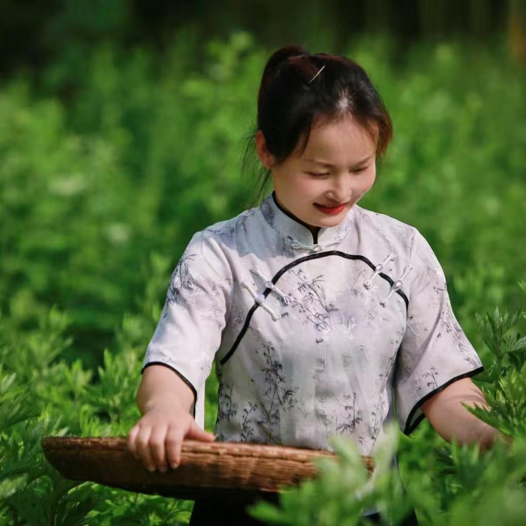 春阳本草