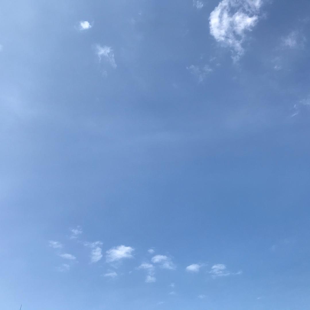 风调雨顺☀️🎼