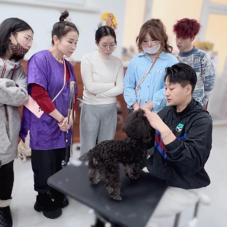 邵老师宠物美容培训