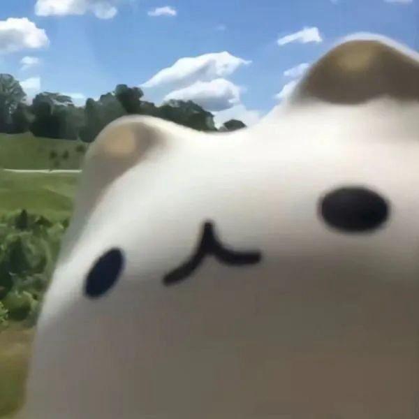 啊哈哈哈