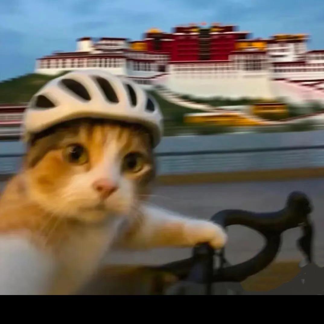 小鱼欧尼