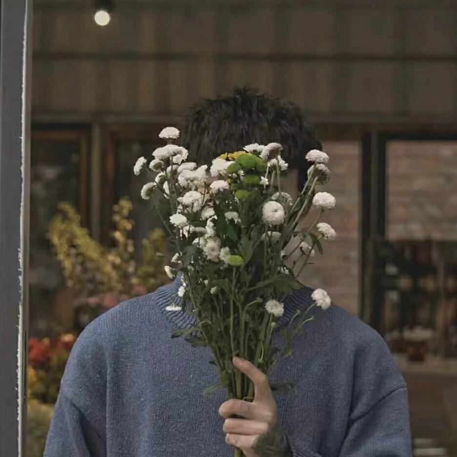 白杨木