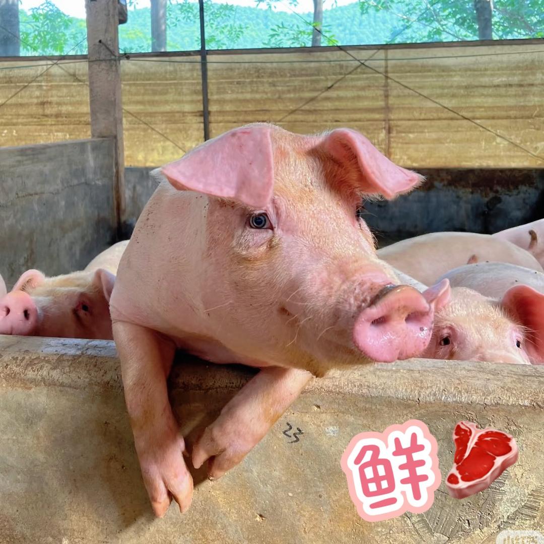 融耀新城世纪华联鲜肉批发、零售🥩