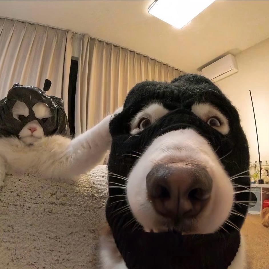 圈圈圆圆圈圈:~