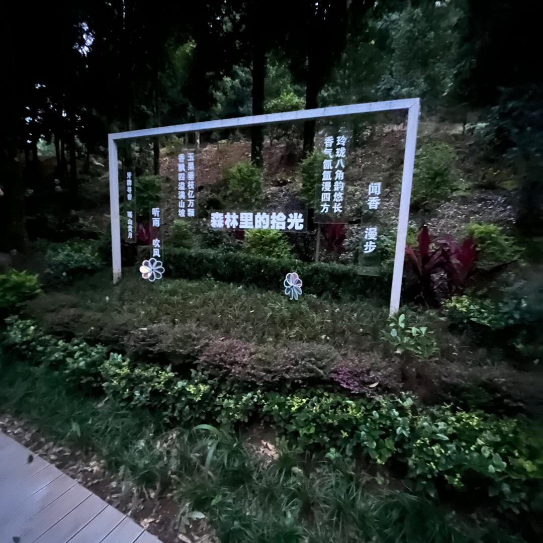 木晨木晨