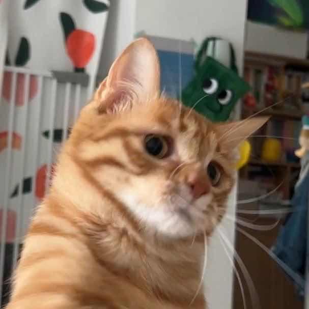 +-×÷