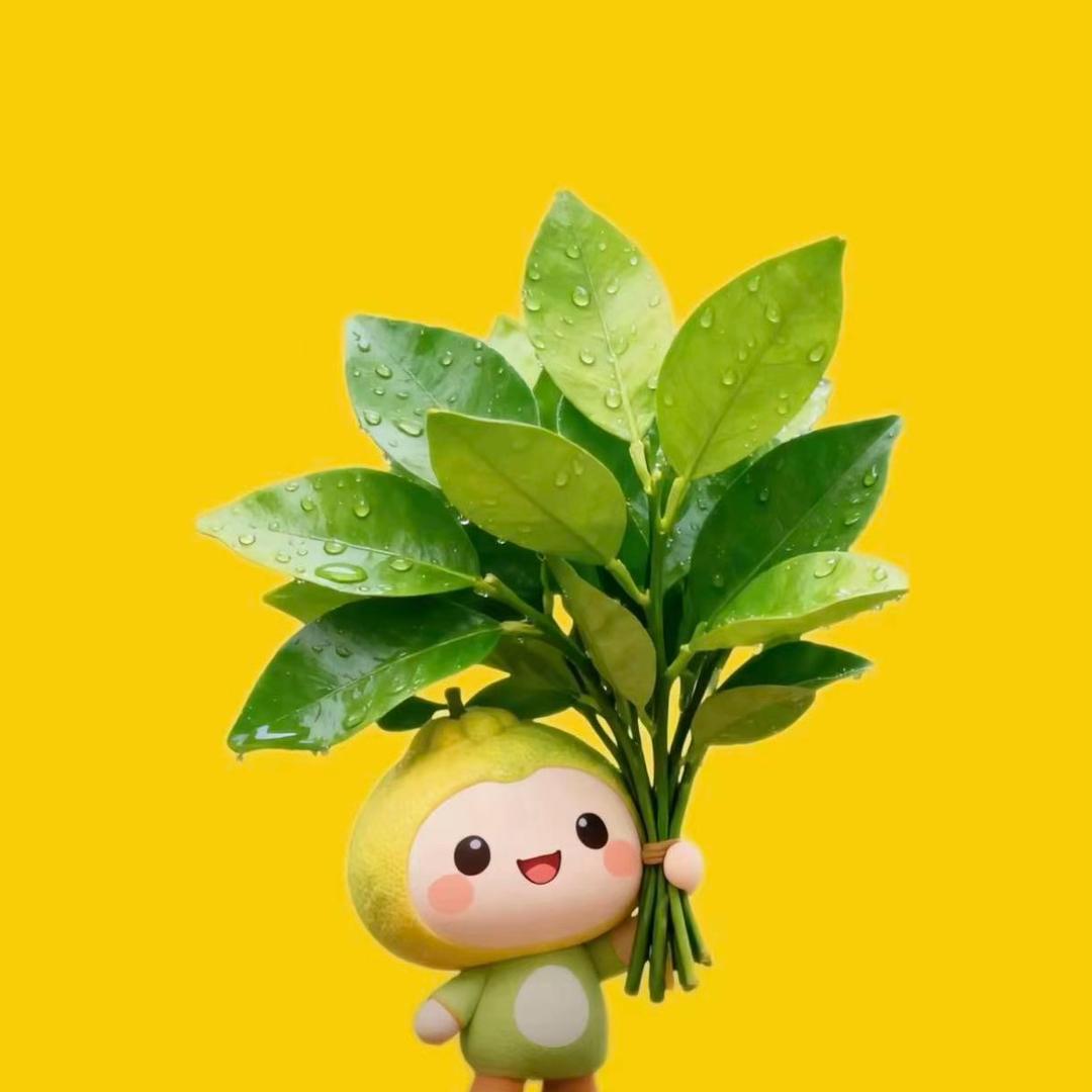 ᦗ 芝士小熊ᵕ̈
