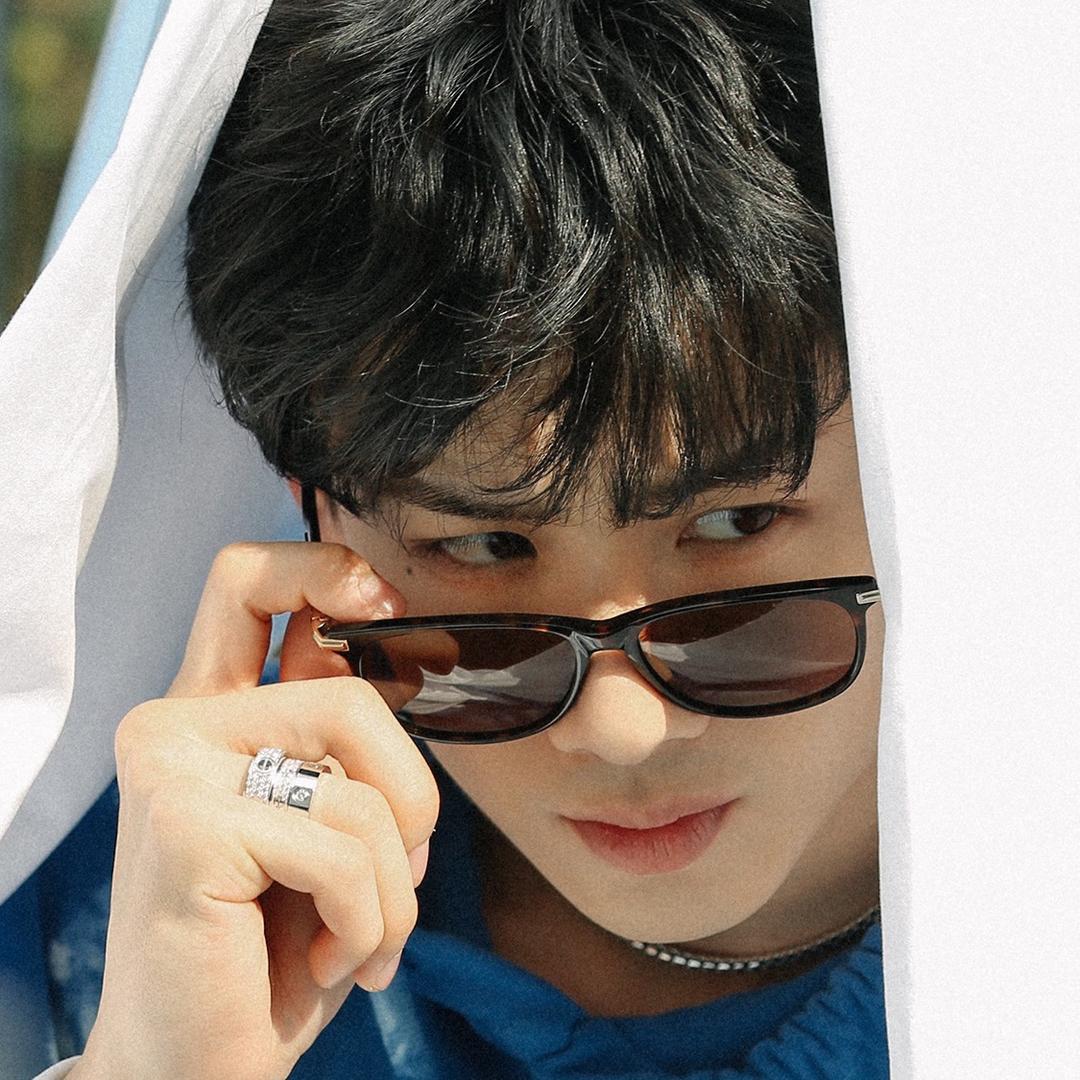 大绵羊好物分享