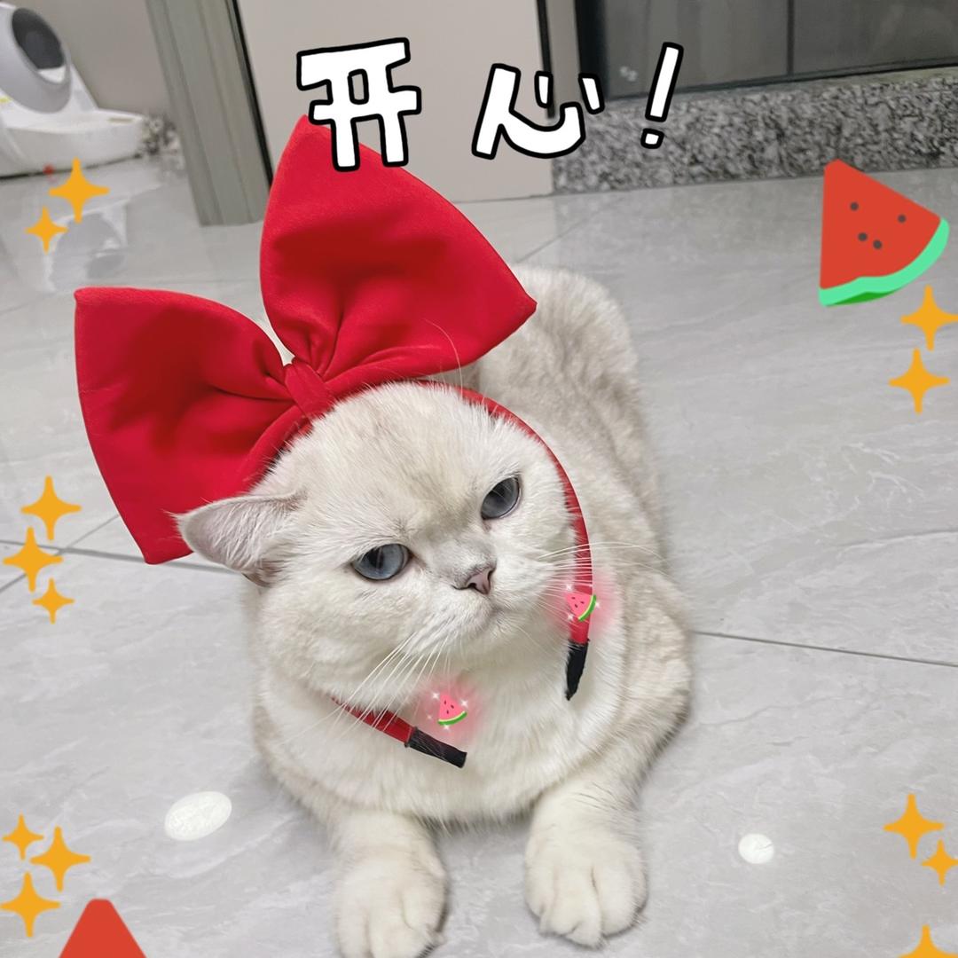 辣椒格格