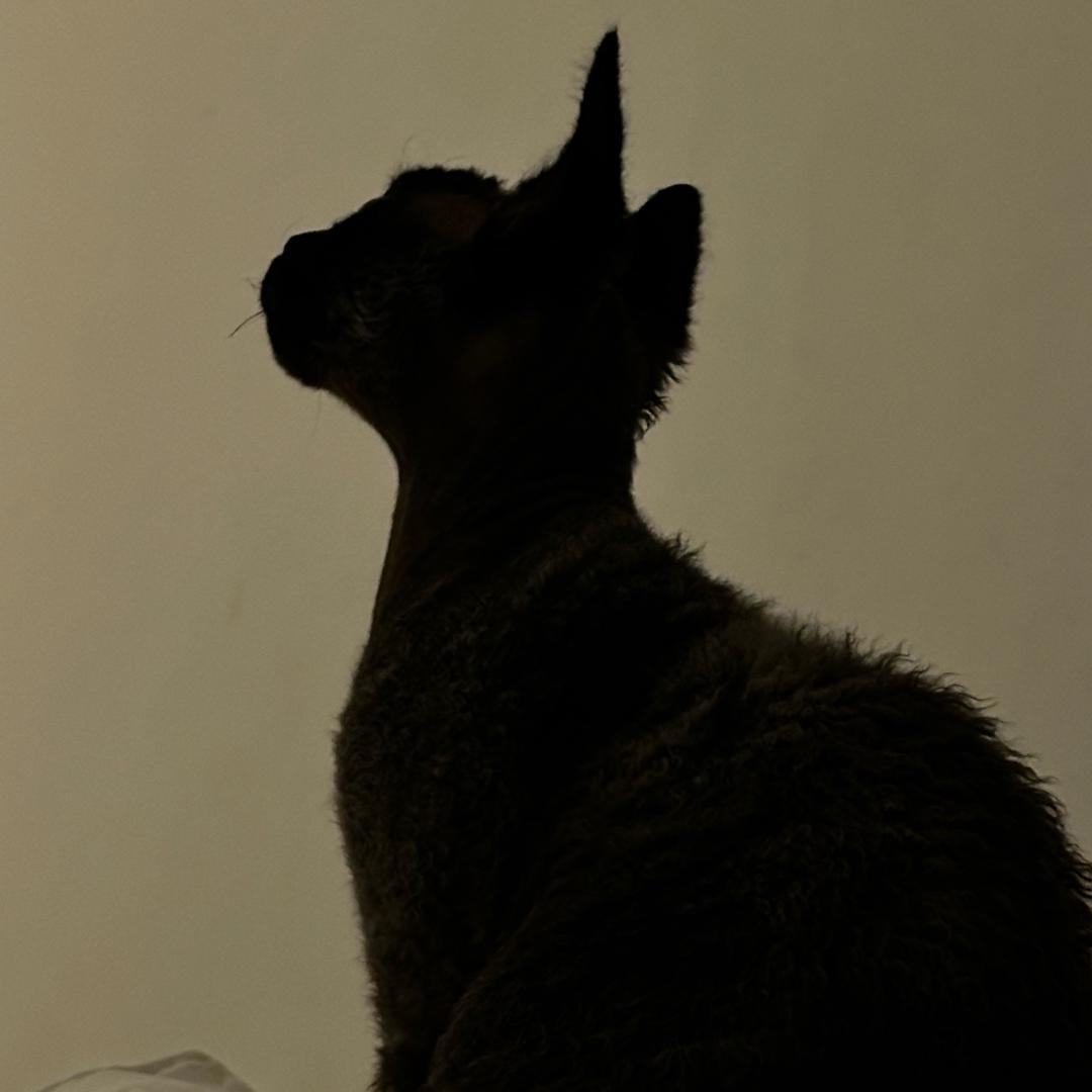 1199