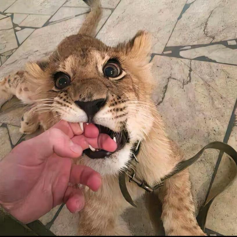 ￰￰ ￰￰ ￰R-