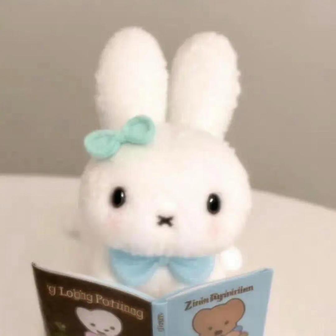壮