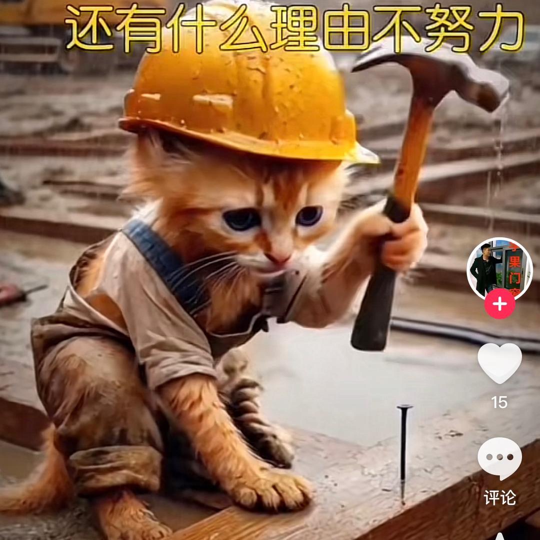 柴 柴