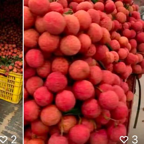 卖水果的小小新