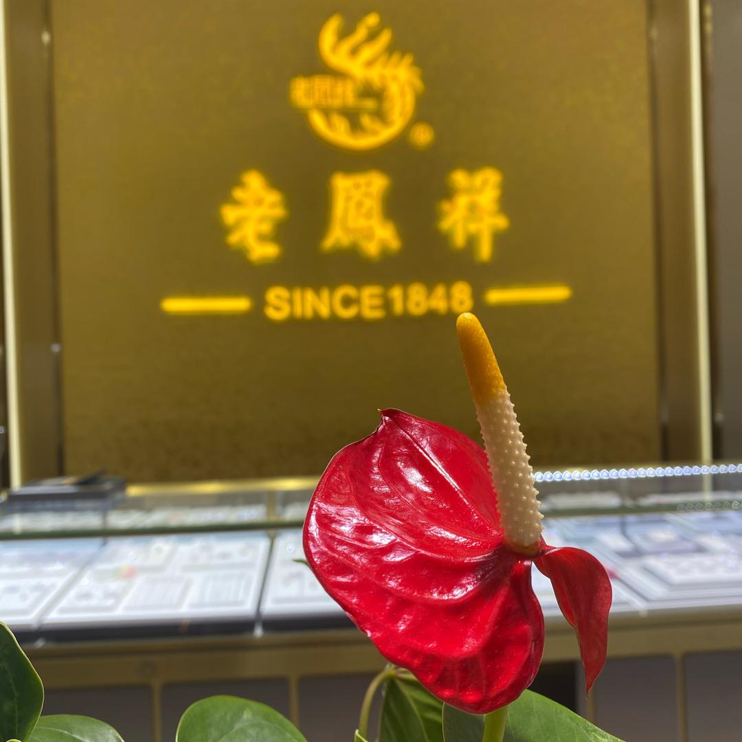 新干鑫盛珠宝金行