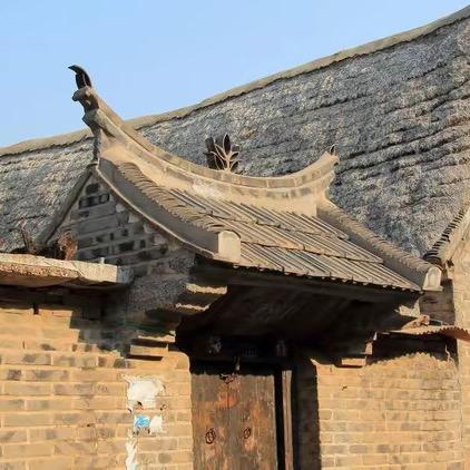 天天向上啦啦啦