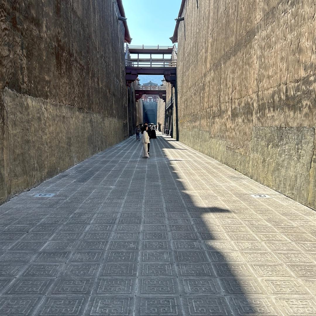 我骑驴✘跑高速