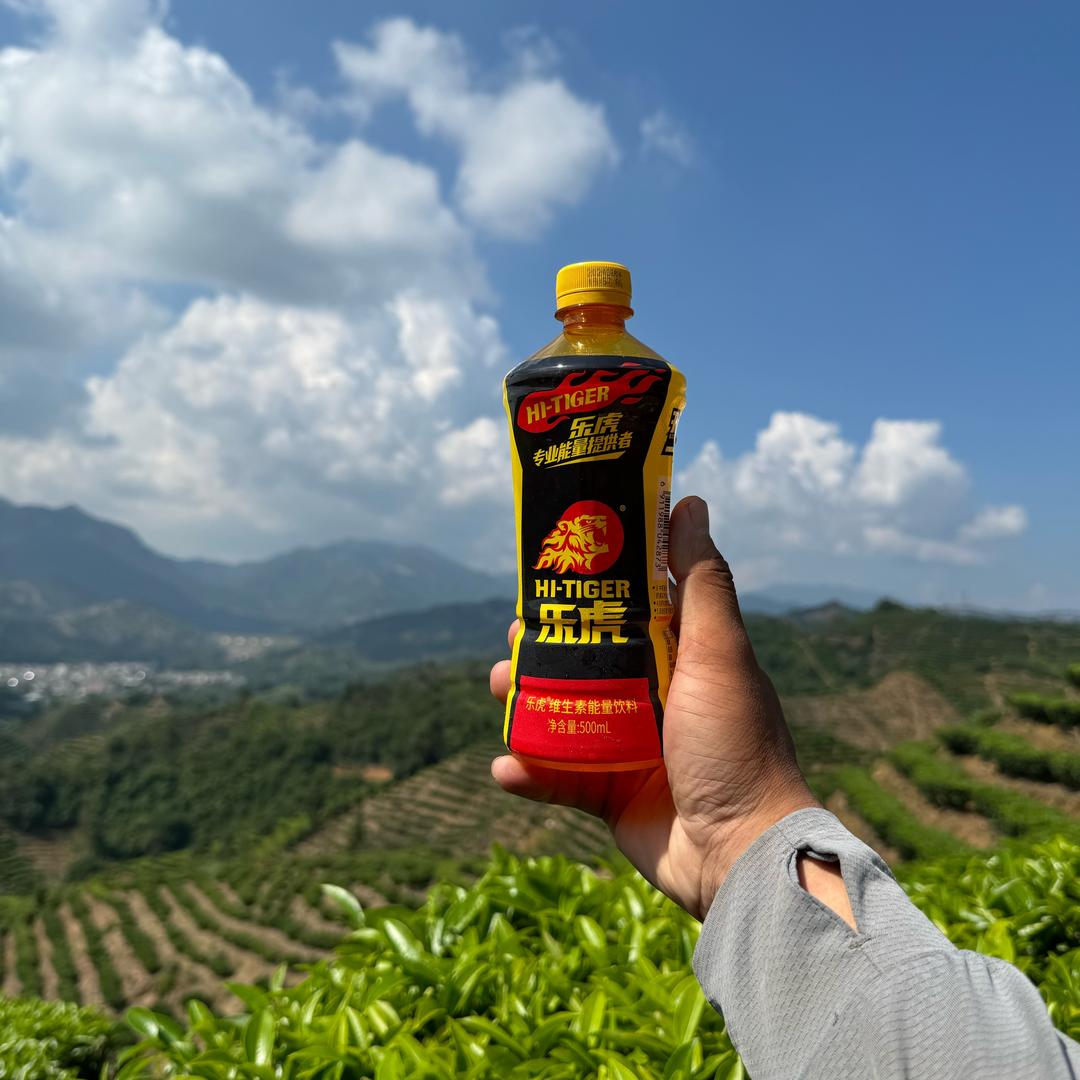 茶园管家.小刘