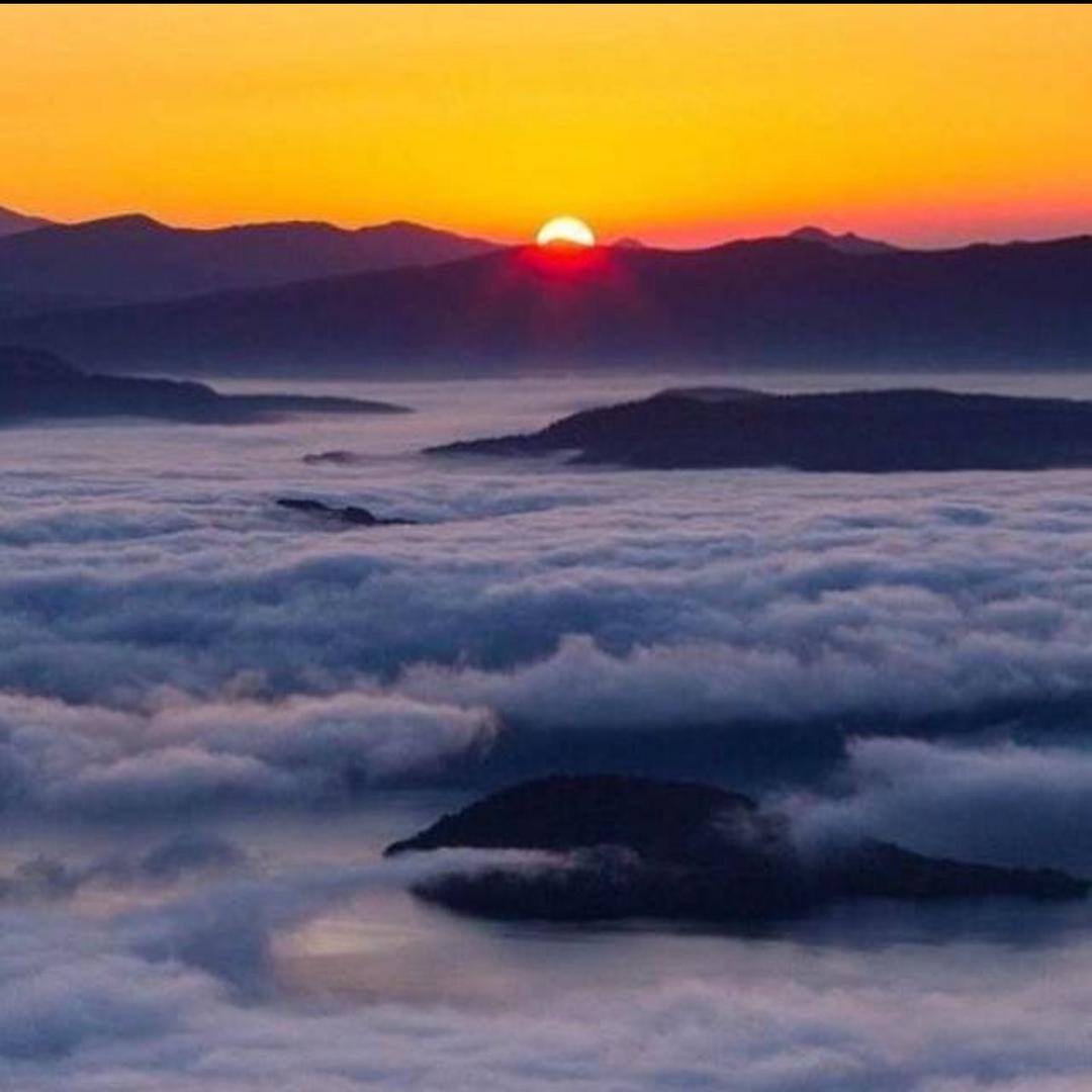 余小鱼善行