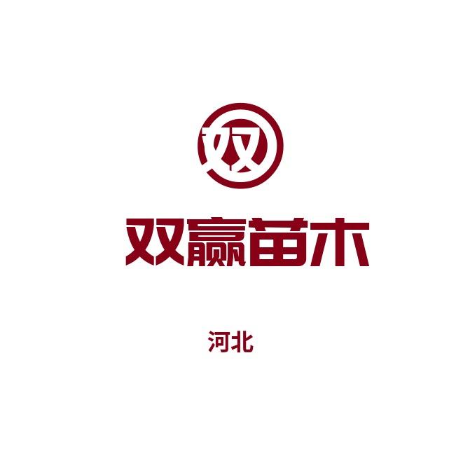 石家庄双瀛苗木