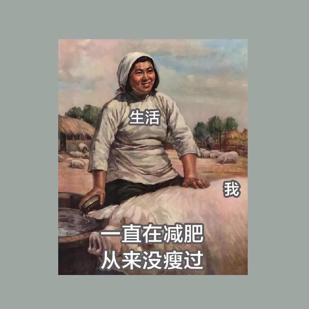 不要回答........