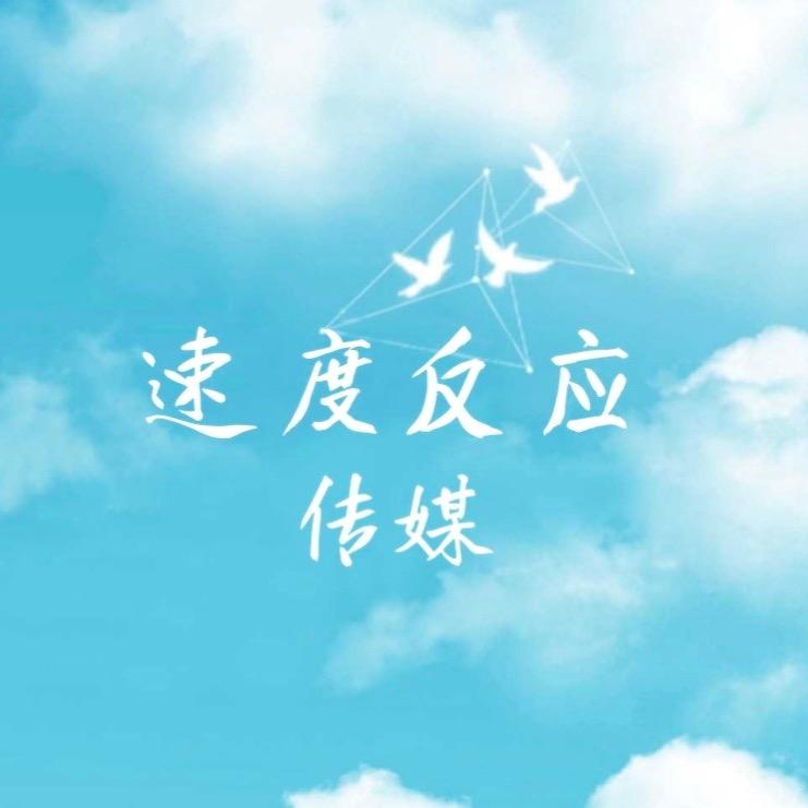 速度反应传媒