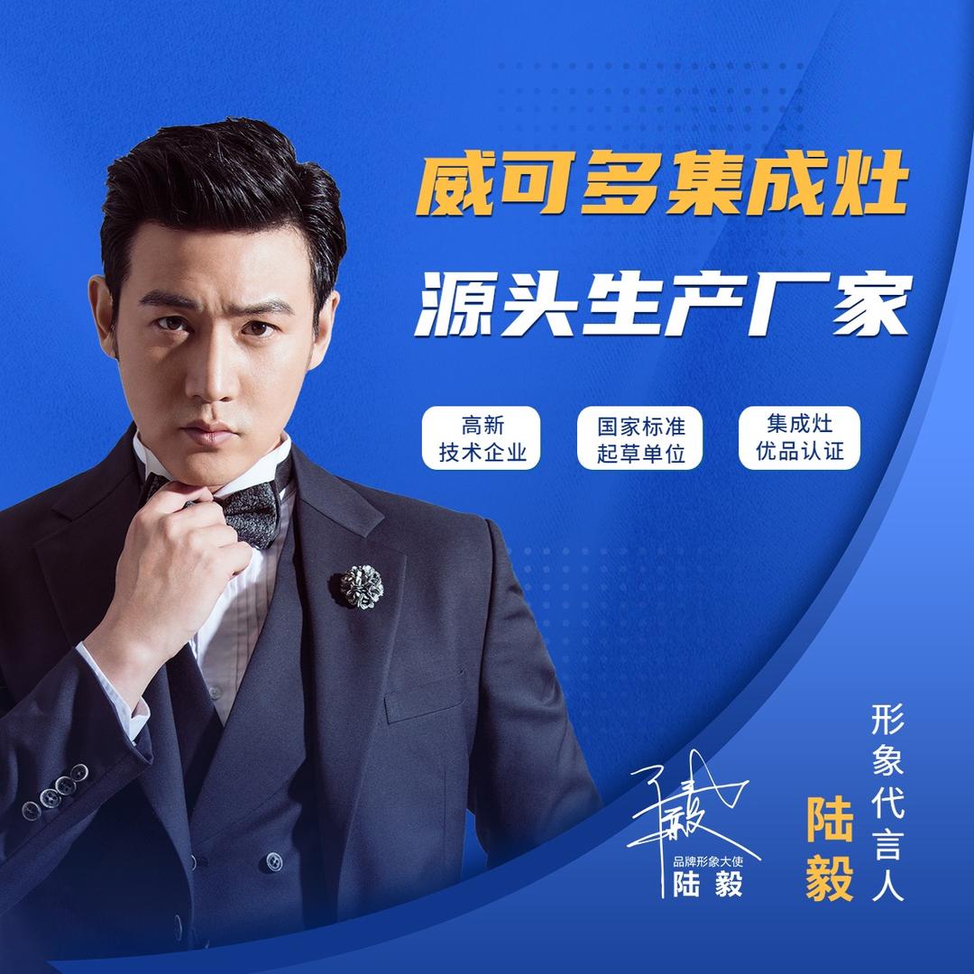 威可多集成灶