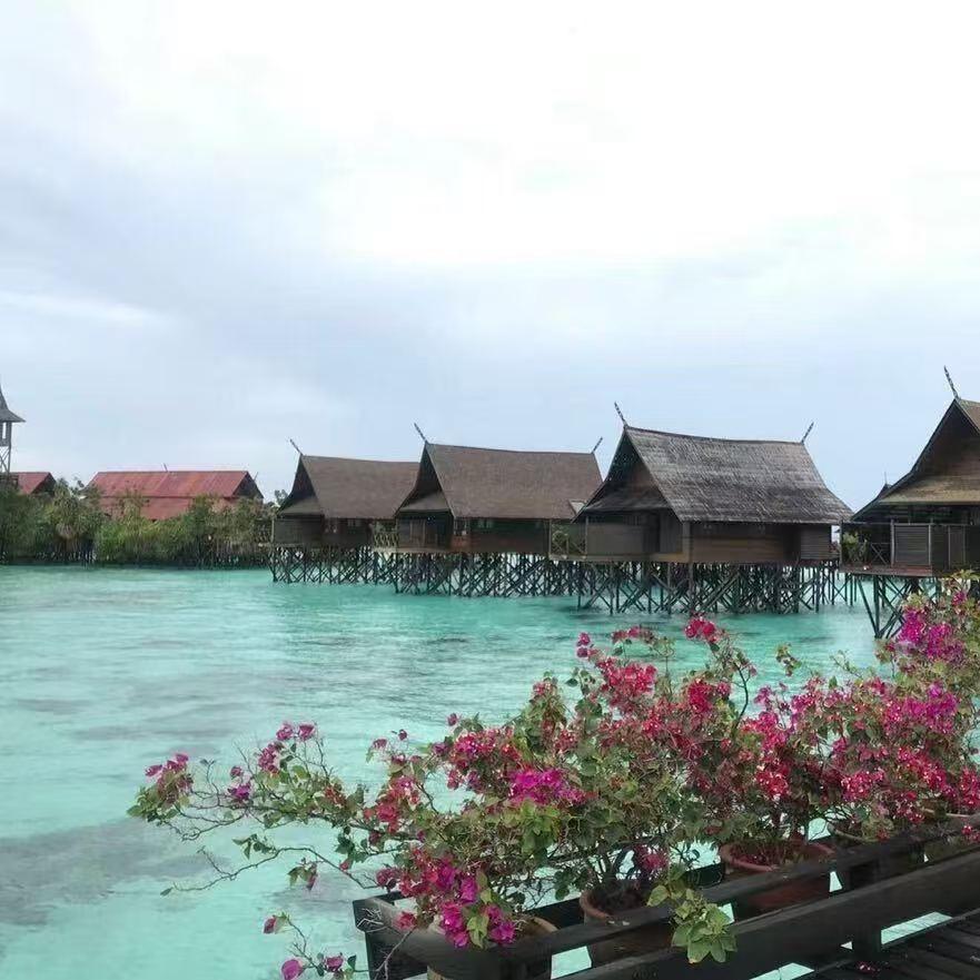 小李家-专注新会好陈皮