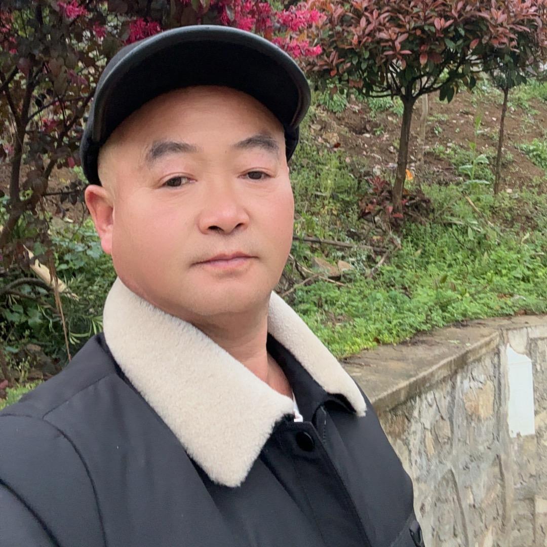 张吉礼桐梓
